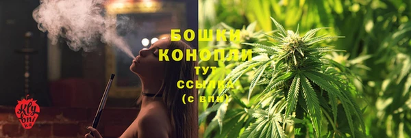 молекула духа Володарск