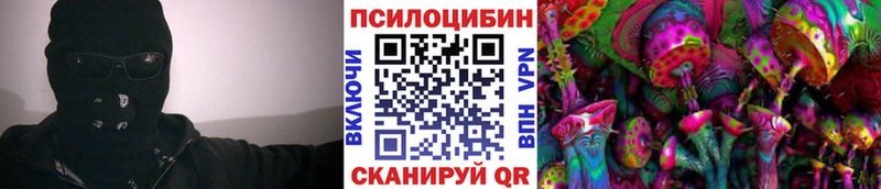 Псилоцибиновые грибы Cubensis  Купить закладки  Очёр 