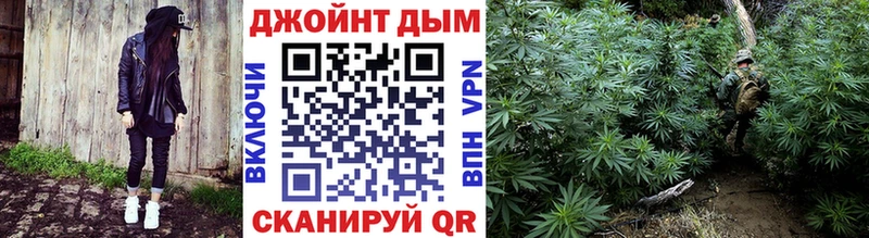 Канабис OG Kush  Купить закладки  Очёр 